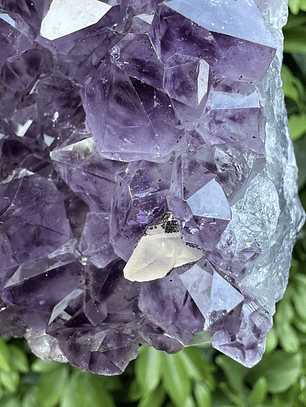 Capilla Amatista #24