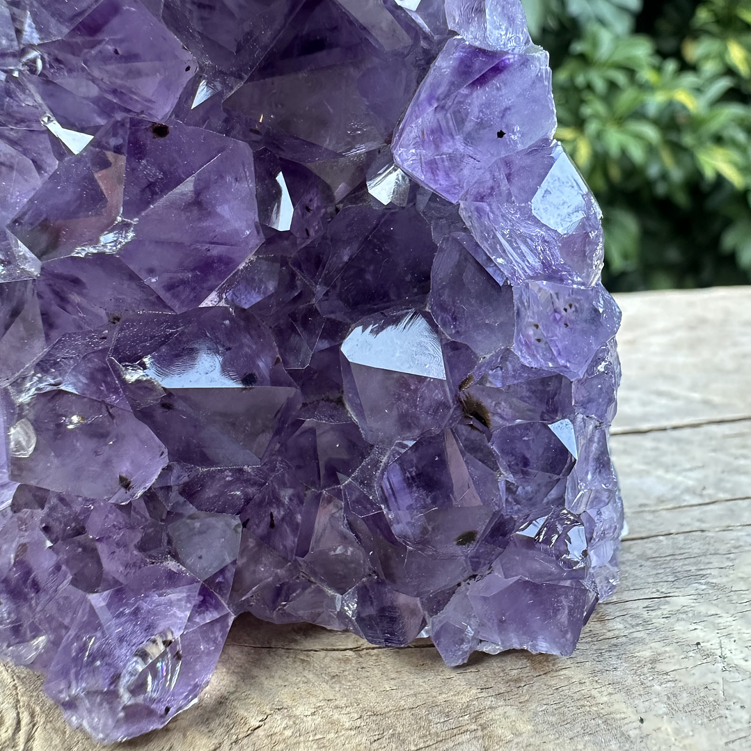 Capilla Amatista mini #33 6