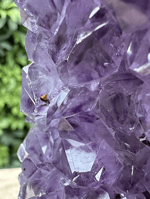 Capilla Amatista mini #33