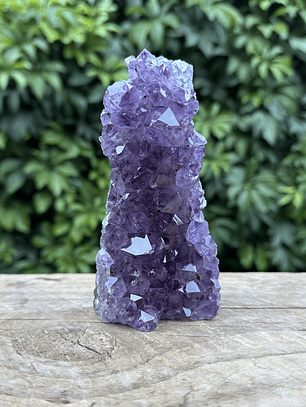 Capilla Amatista mini #33