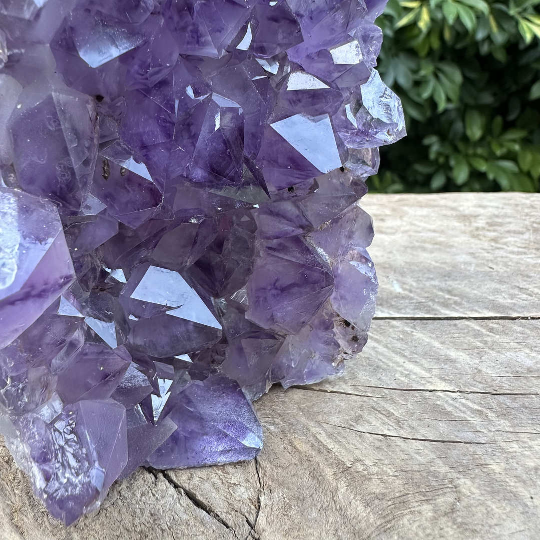 Capilla Amatista #25 7