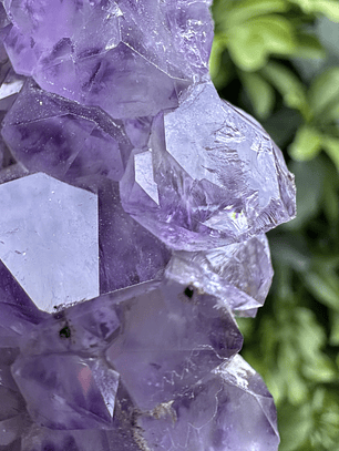 Capilla Amatista #25