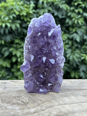 Capilla Amatista #25