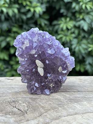 Capilla Amatista mini #34