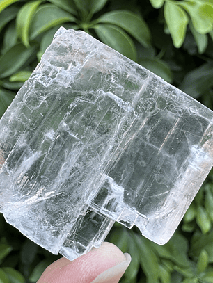 Halita sal mineral cristalizada #17