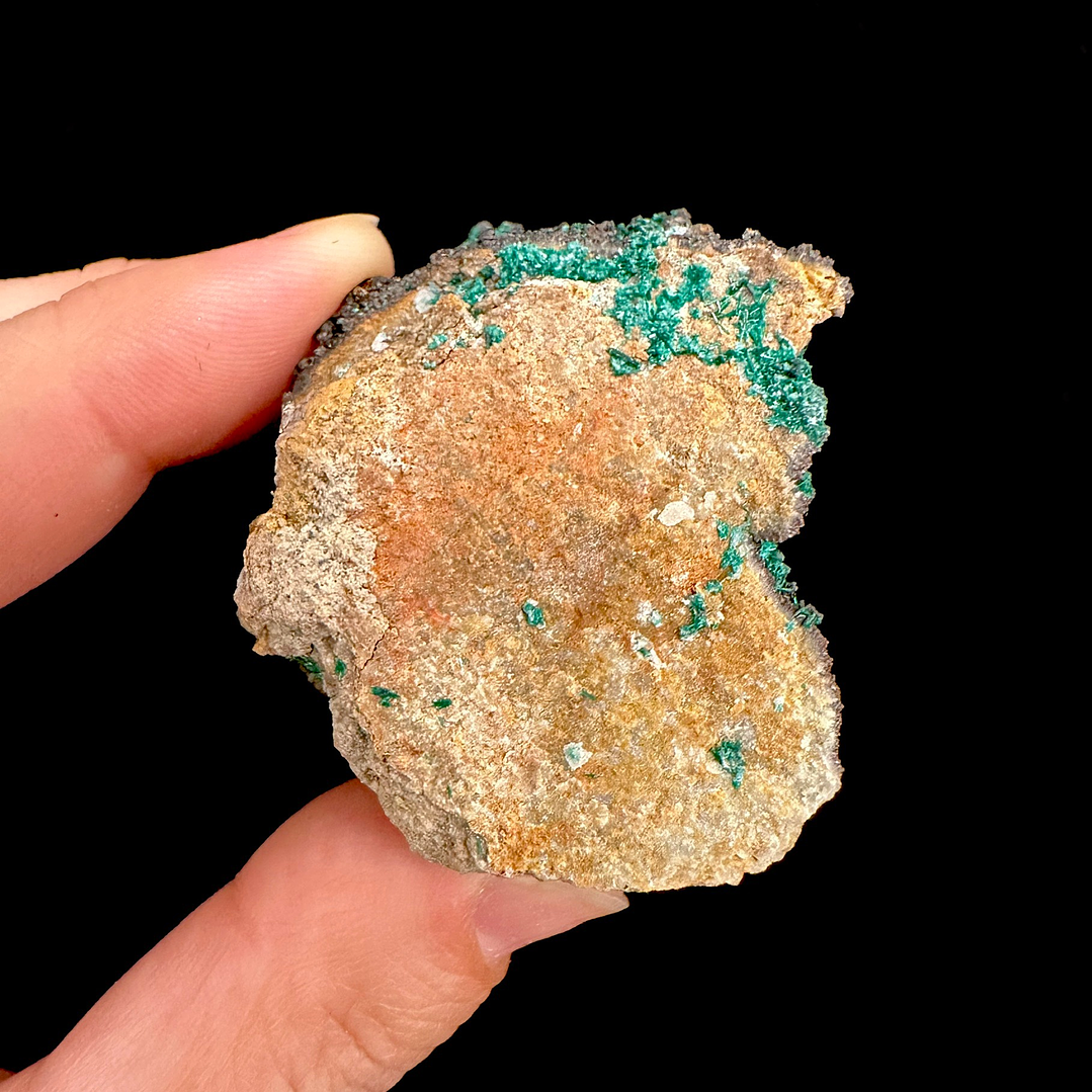 Brochantita con Atacamita #1 2