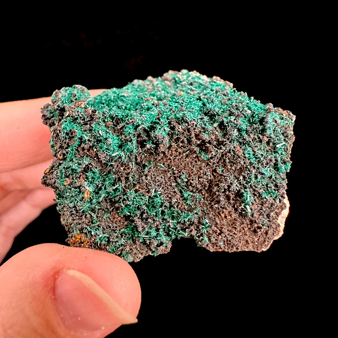 Brochantita con Atacamita #1 3