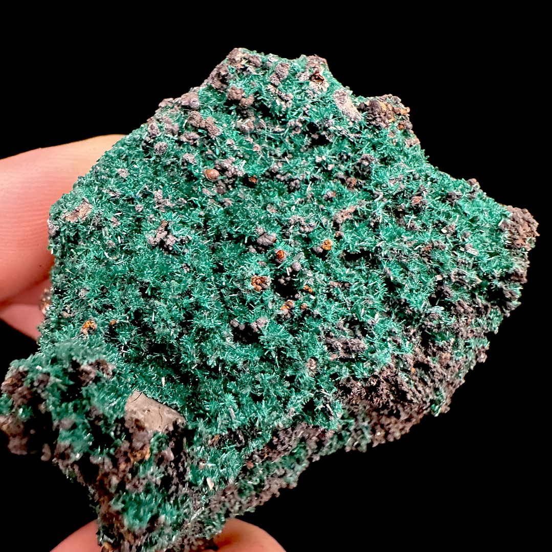 Brochantita con Atacamita #1 1