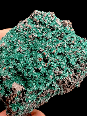 Brochantita con Atacamita #1