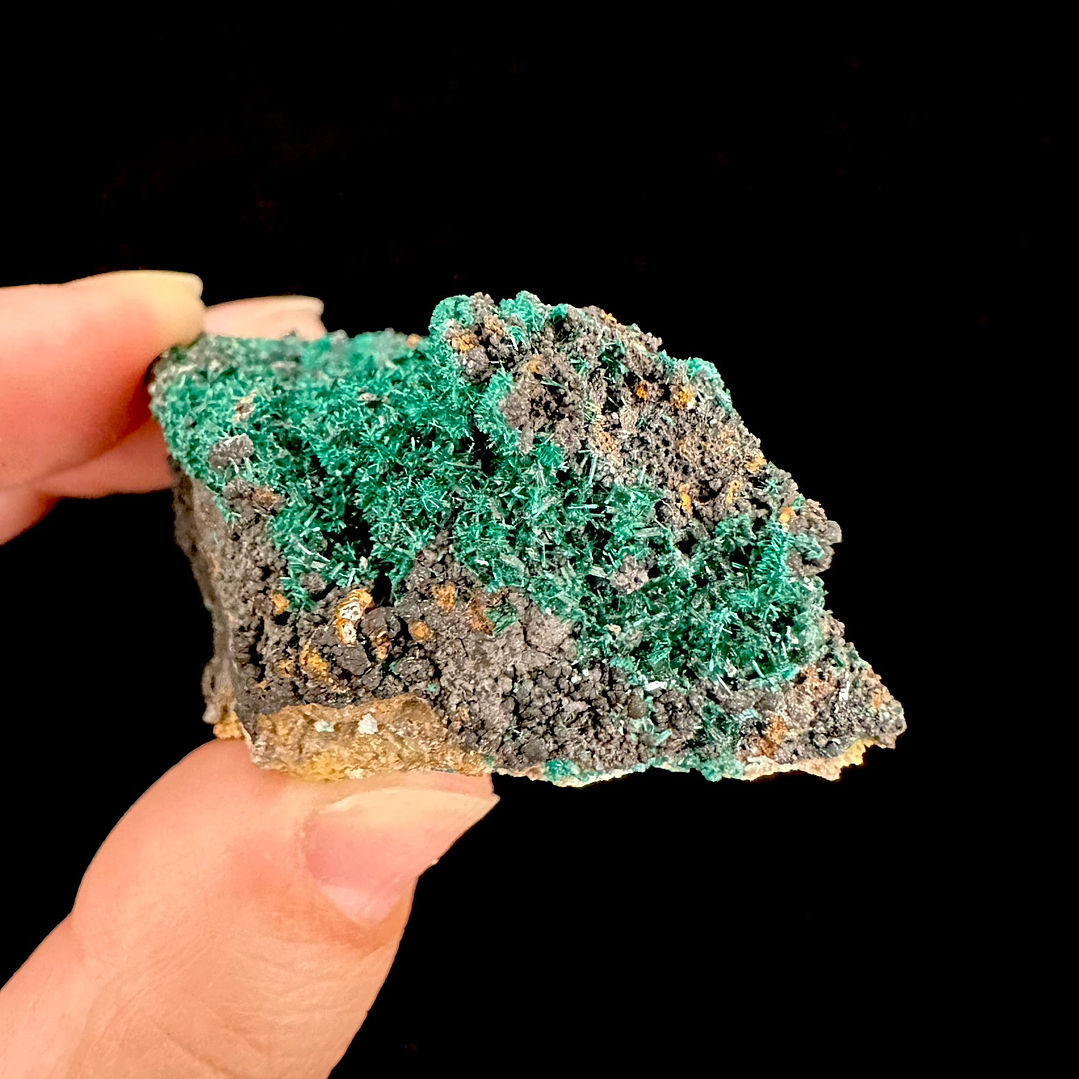 Brochantita con Atacamita #1 5