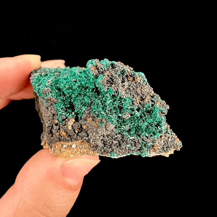 Brochantita con Atacamita #1 5