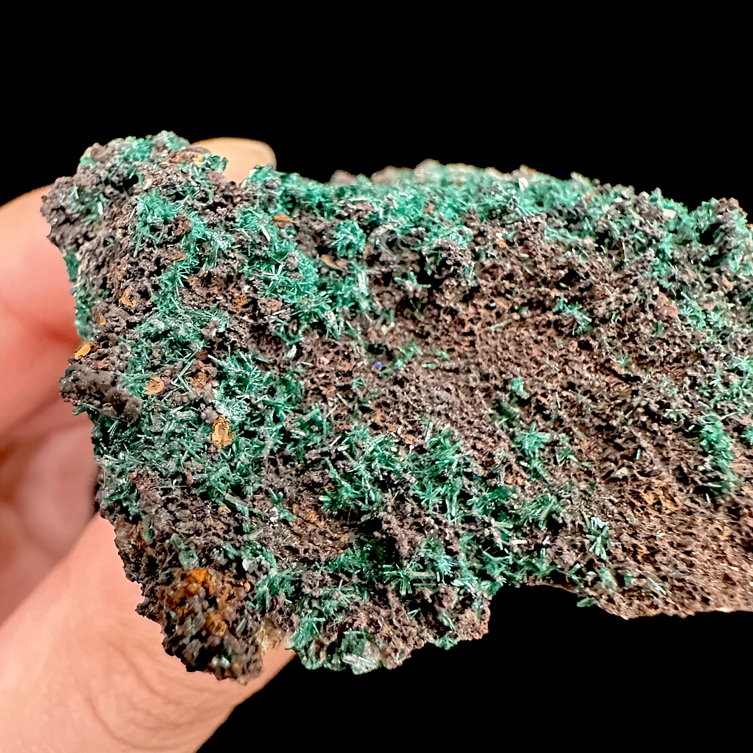 Brochantita con Atacamita #1 6