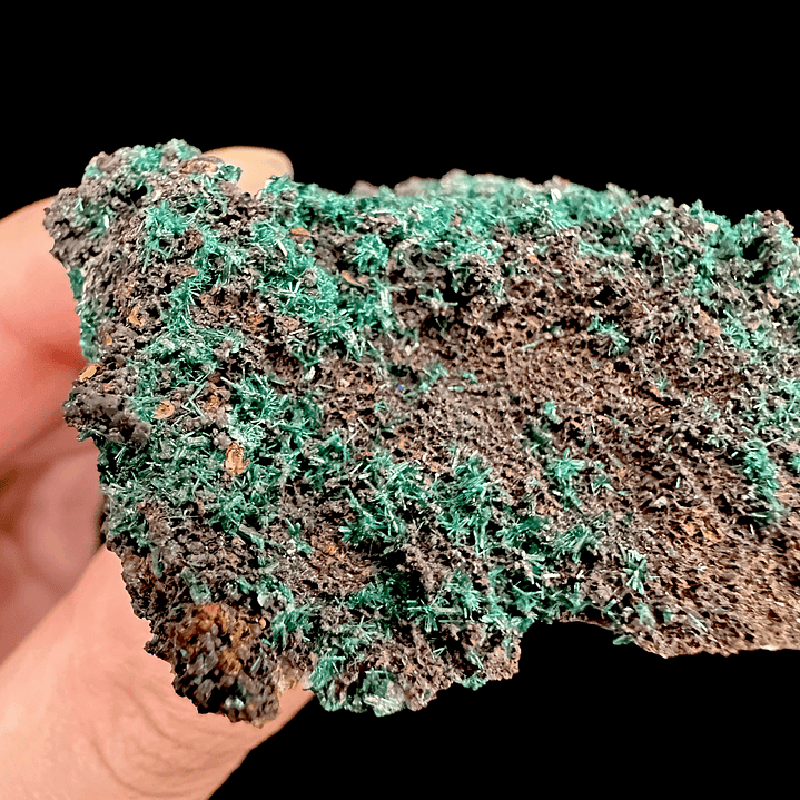 Brochantita con Atacamita #1 6