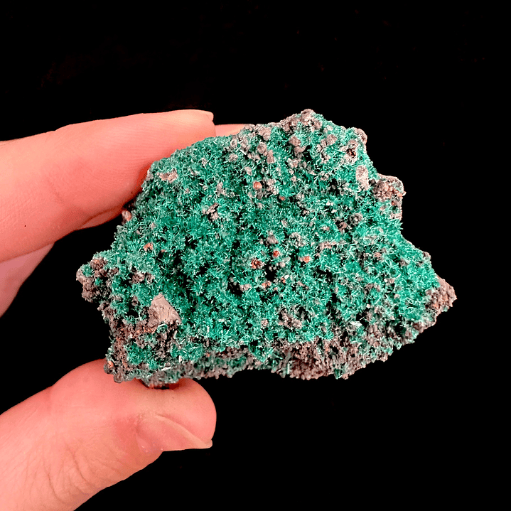 Brochantita con Atacamita #1 7