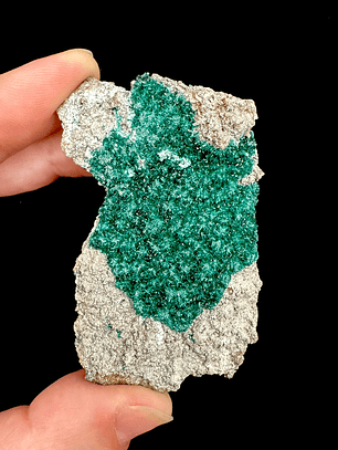 Brochantita con Atacamita #2