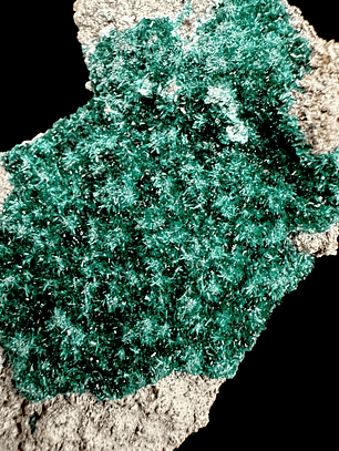 Brochantita con Atacamita #2