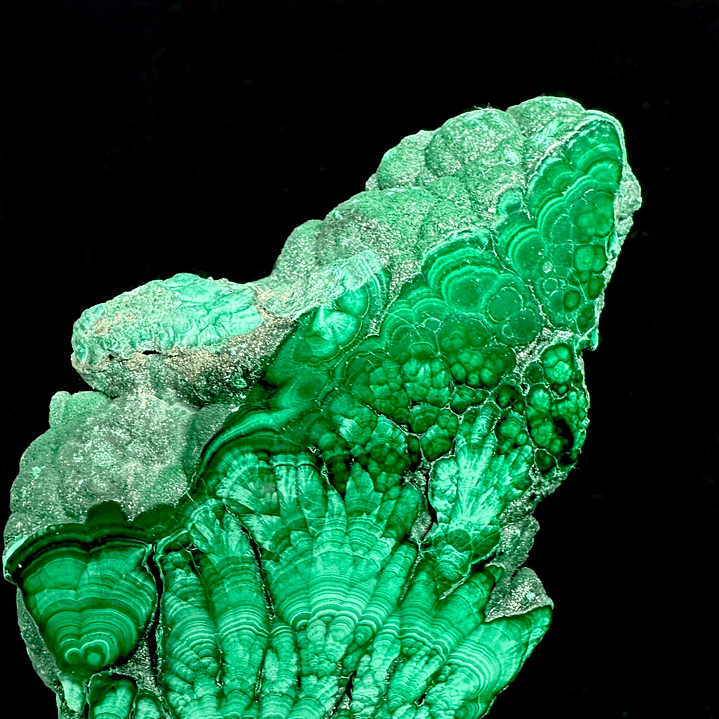 Malaquita pulida del Congo #13 4