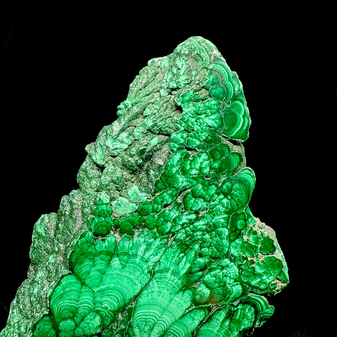 Malaquita pulida del Congo #13 5