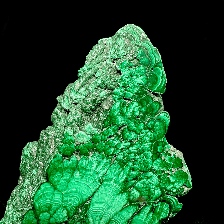 Malaquita pulida del Congo #13 5