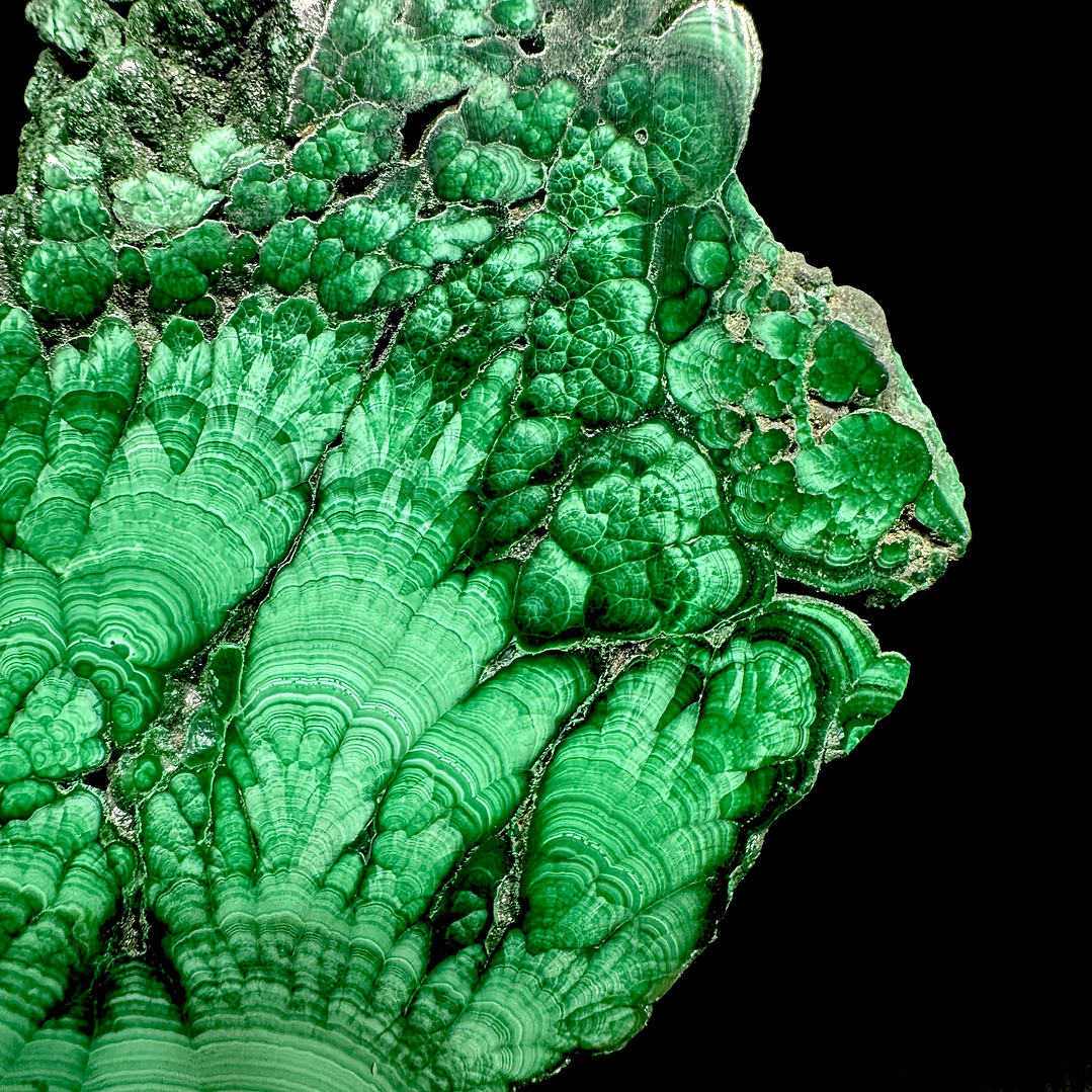 Malaquita pulida del Congo #13 3