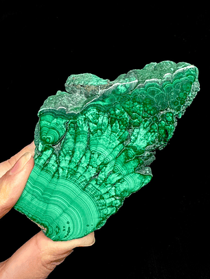 Malaquita pulida del Congo #13