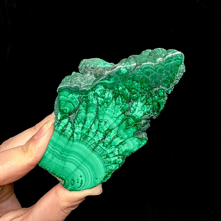 Malaquita pulida del Congo #13 2