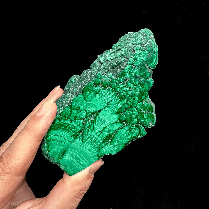 Malaquita pulida del Congo #13 1