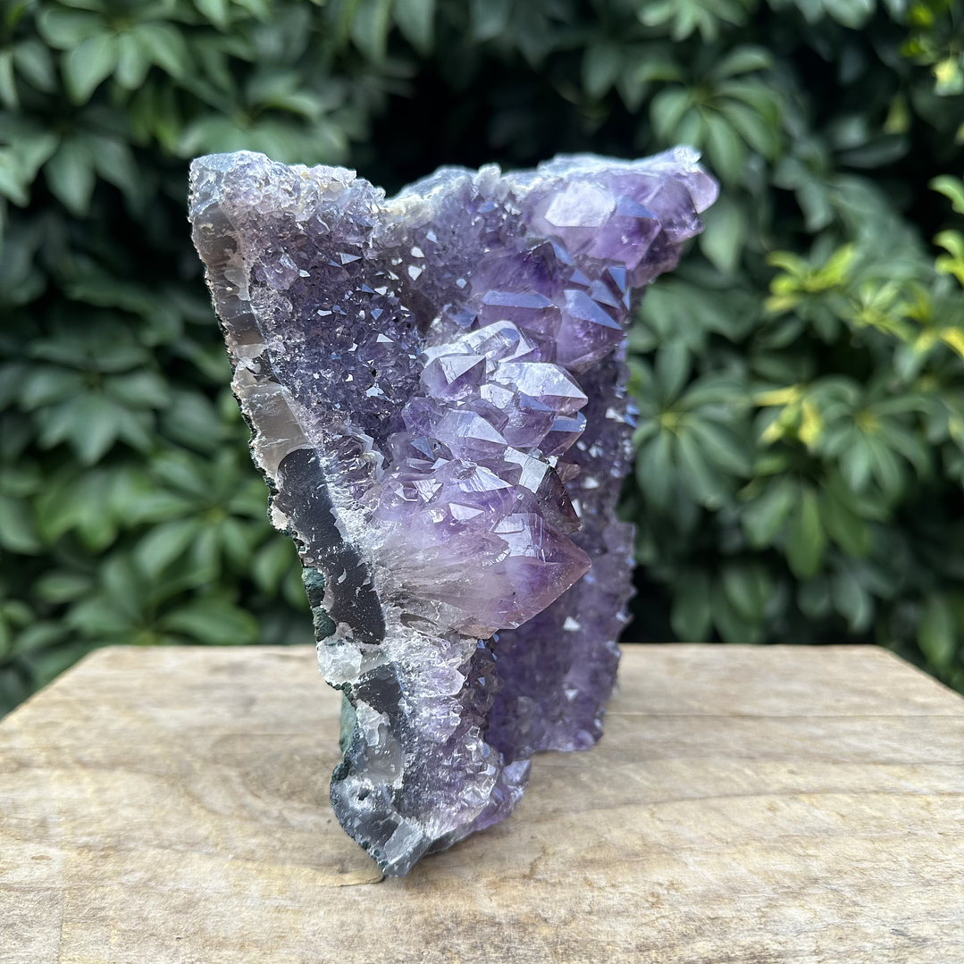 Capilla Amatista #26 4