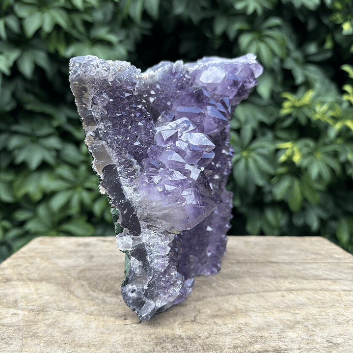 Capilla Amatista #26 4