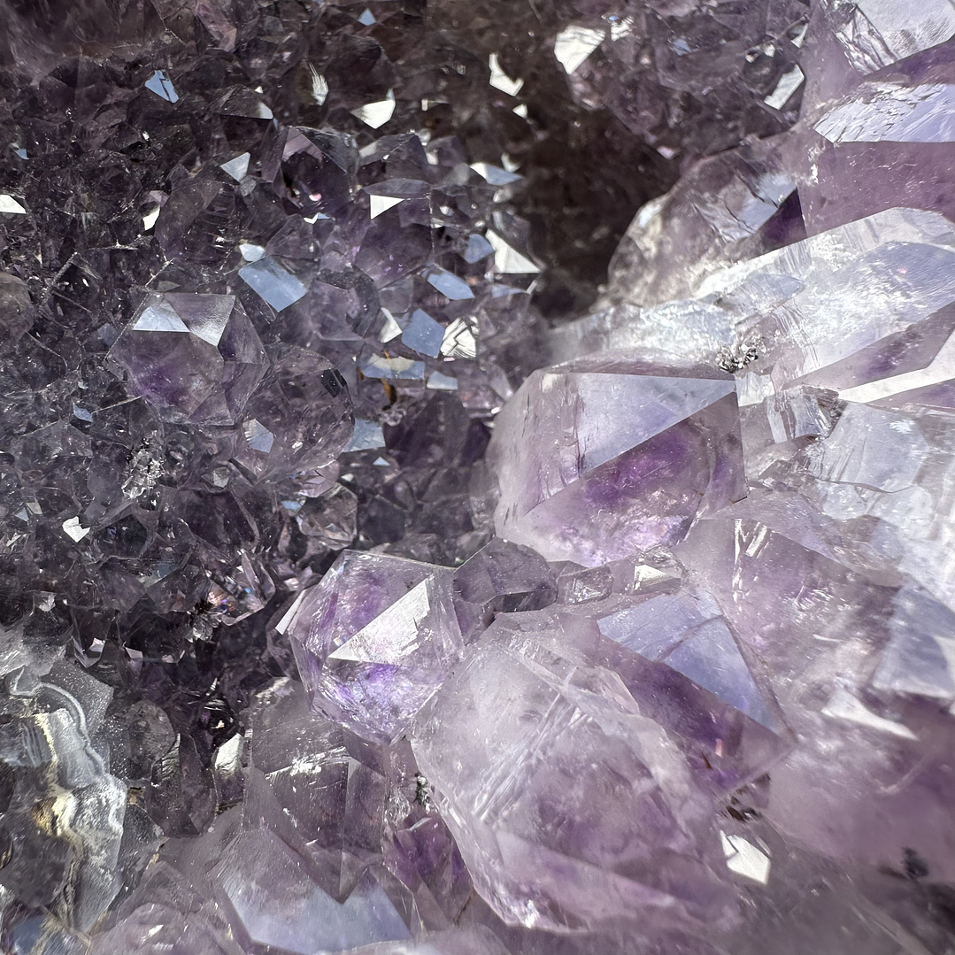 Capilla Amatista #26 7