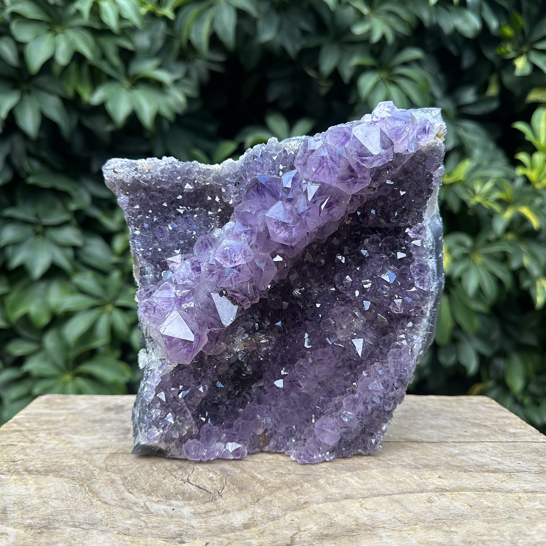 Capilla Amatista #26 1