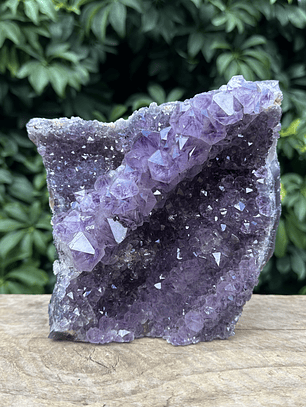 Capilla Amatista #26