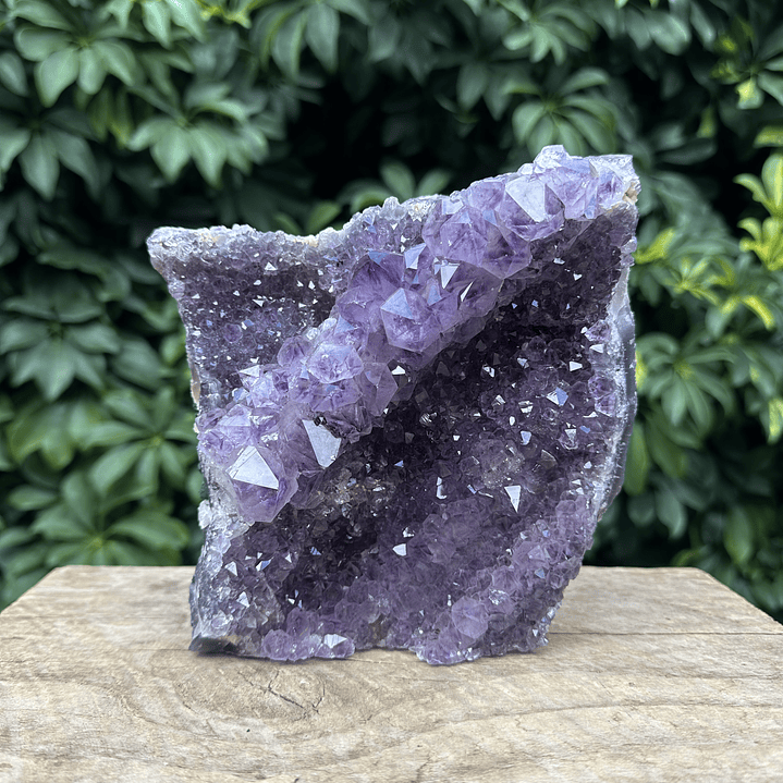 Capilla Amatista #26 1