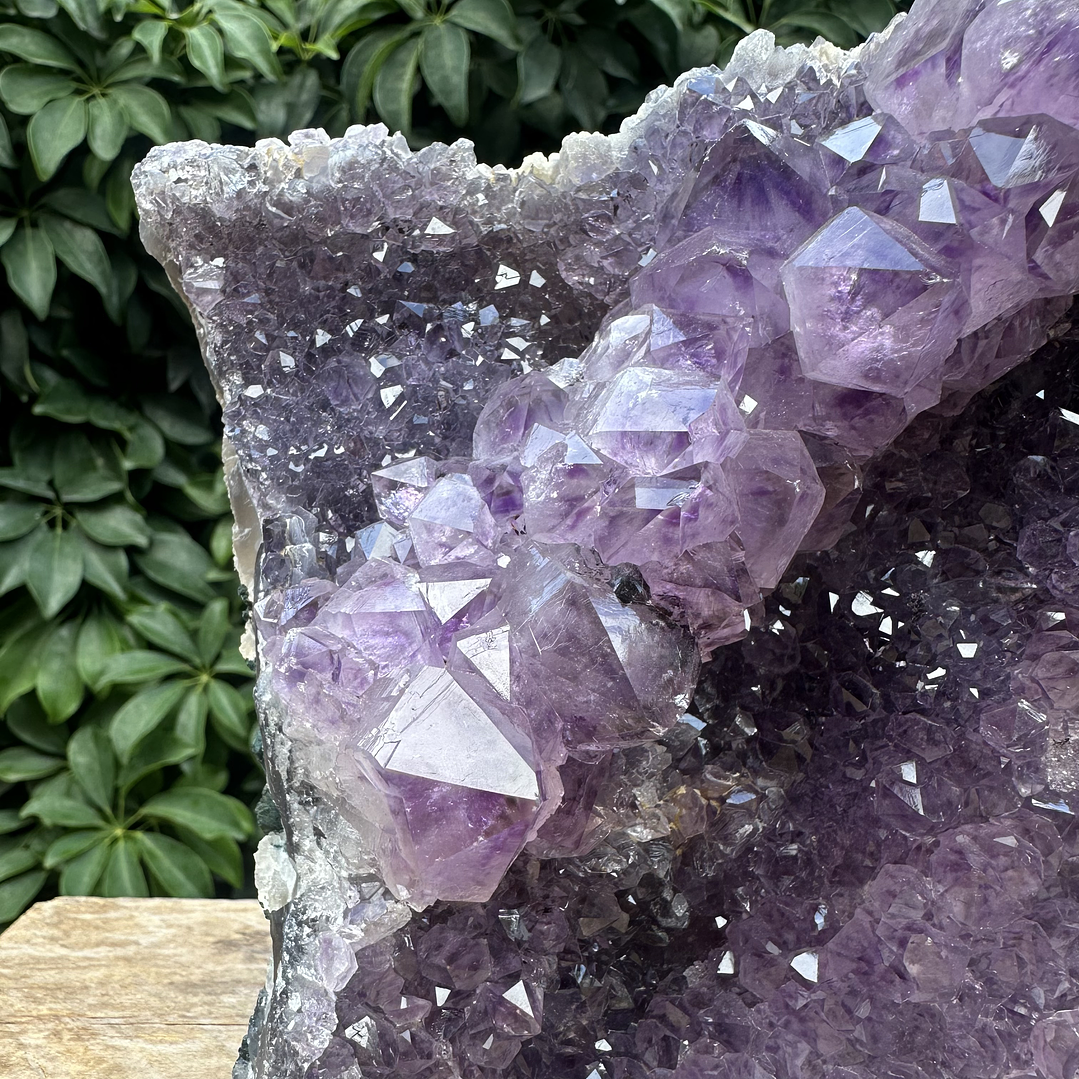 Capilla Amatista #26 2