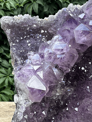 Capilla Amatista #26