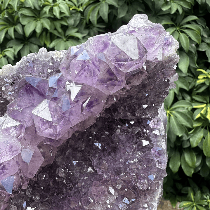 Capilla Amatista #26 5