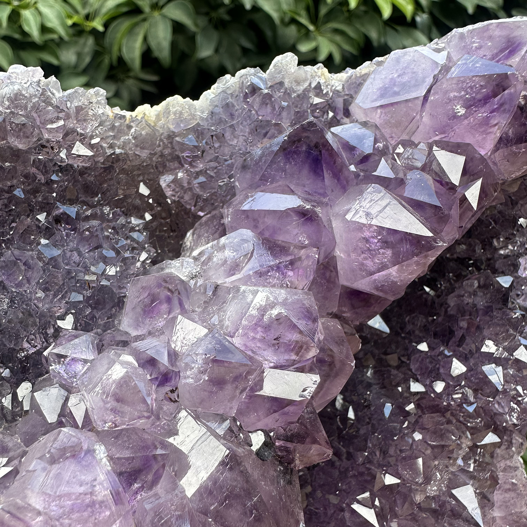 Capilla Amatista #26 6