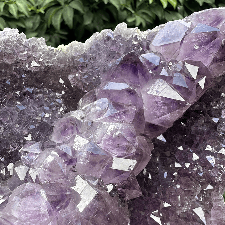 Capilla Amatista #26 6