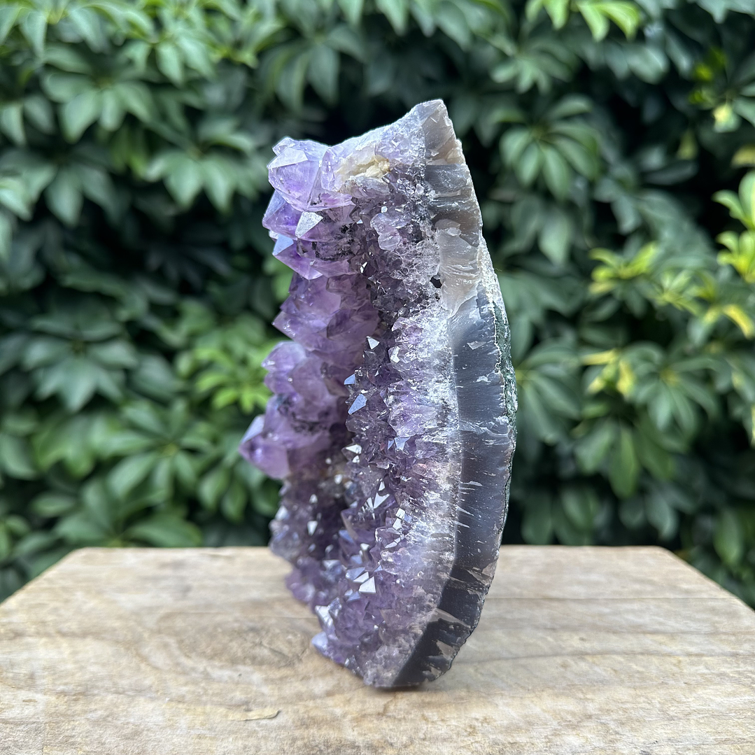 Capilla Amatista #26 3