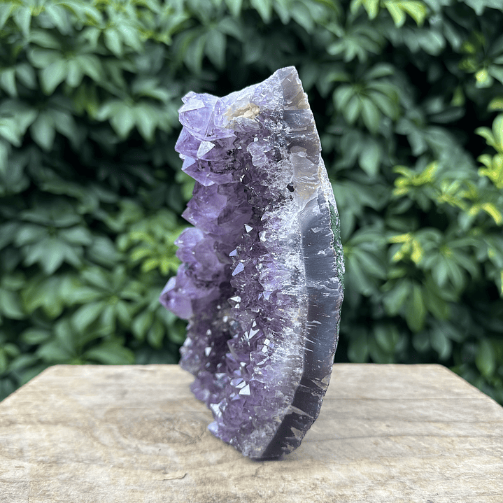 Capilla Amatista #26 3