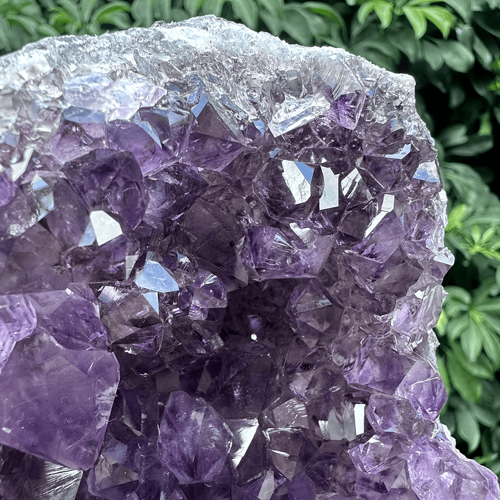 Capilla Amatista #27 3