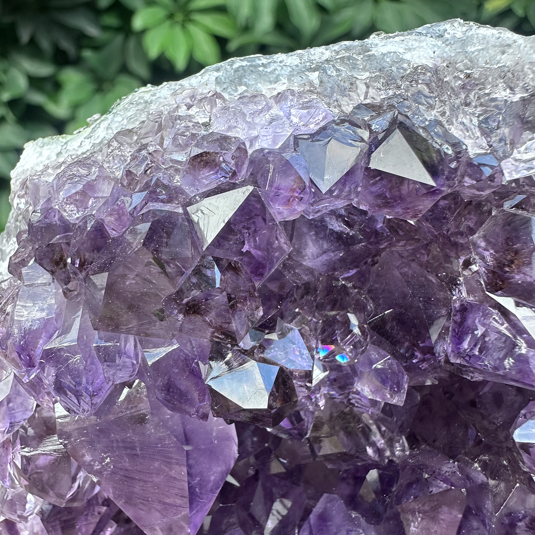 Capilla Amatista #27 2