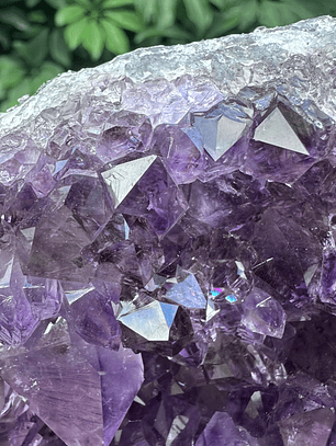 Capilla Amatista #27