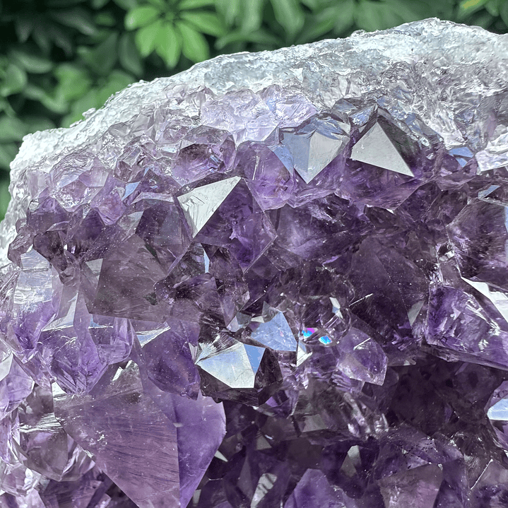 Capilla Amatista #27 2