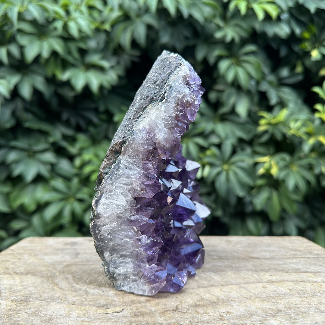 Capilla Amatista #27 4