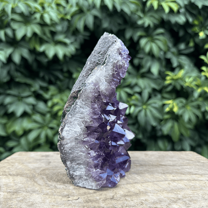 Capilla Amatista #27 4