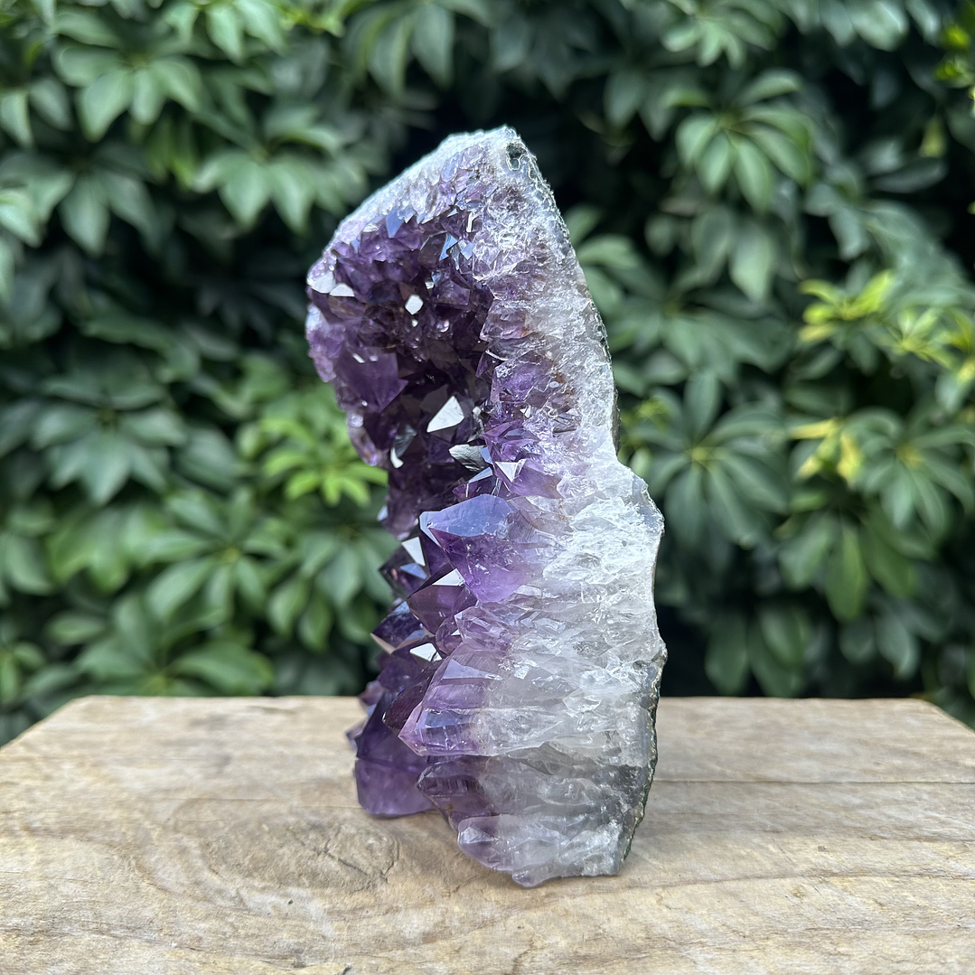 Capilla Amatista #27 5