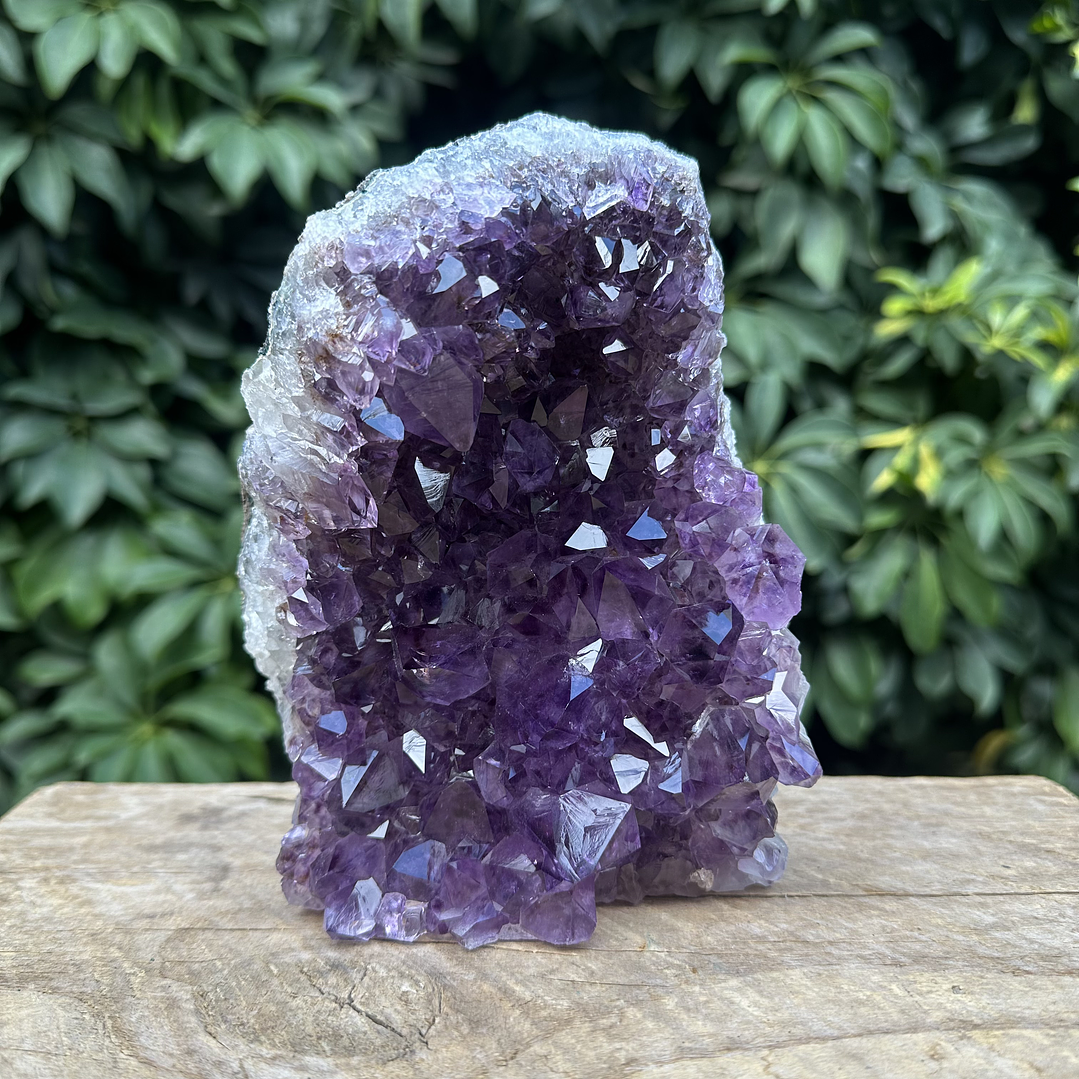 Capilla Amatista #27 1