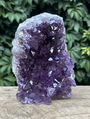 Capilla Amatista #27