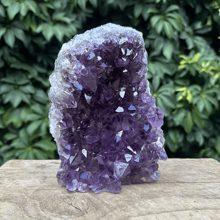 Capilla Amatista #27 1